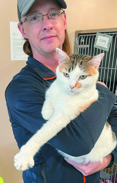 Anderson animal shelter store cats